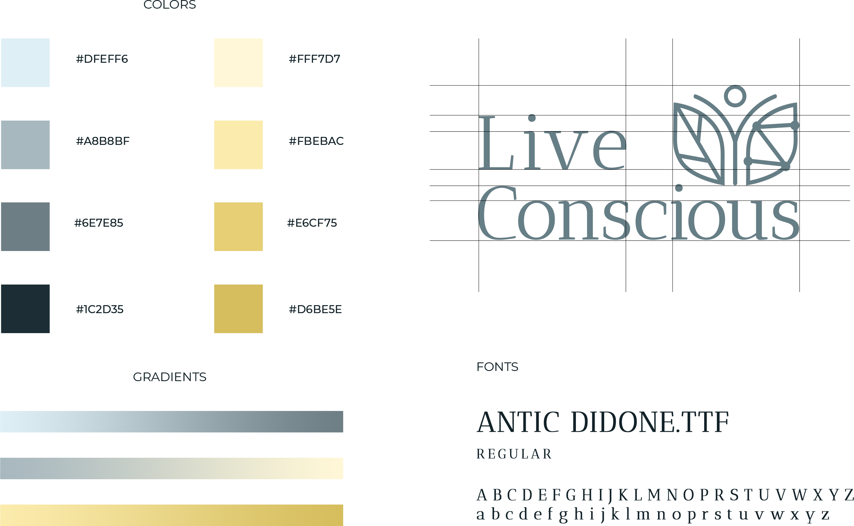 Live Conscious | Get No. 1 Branding Design | Branding Agency Branding