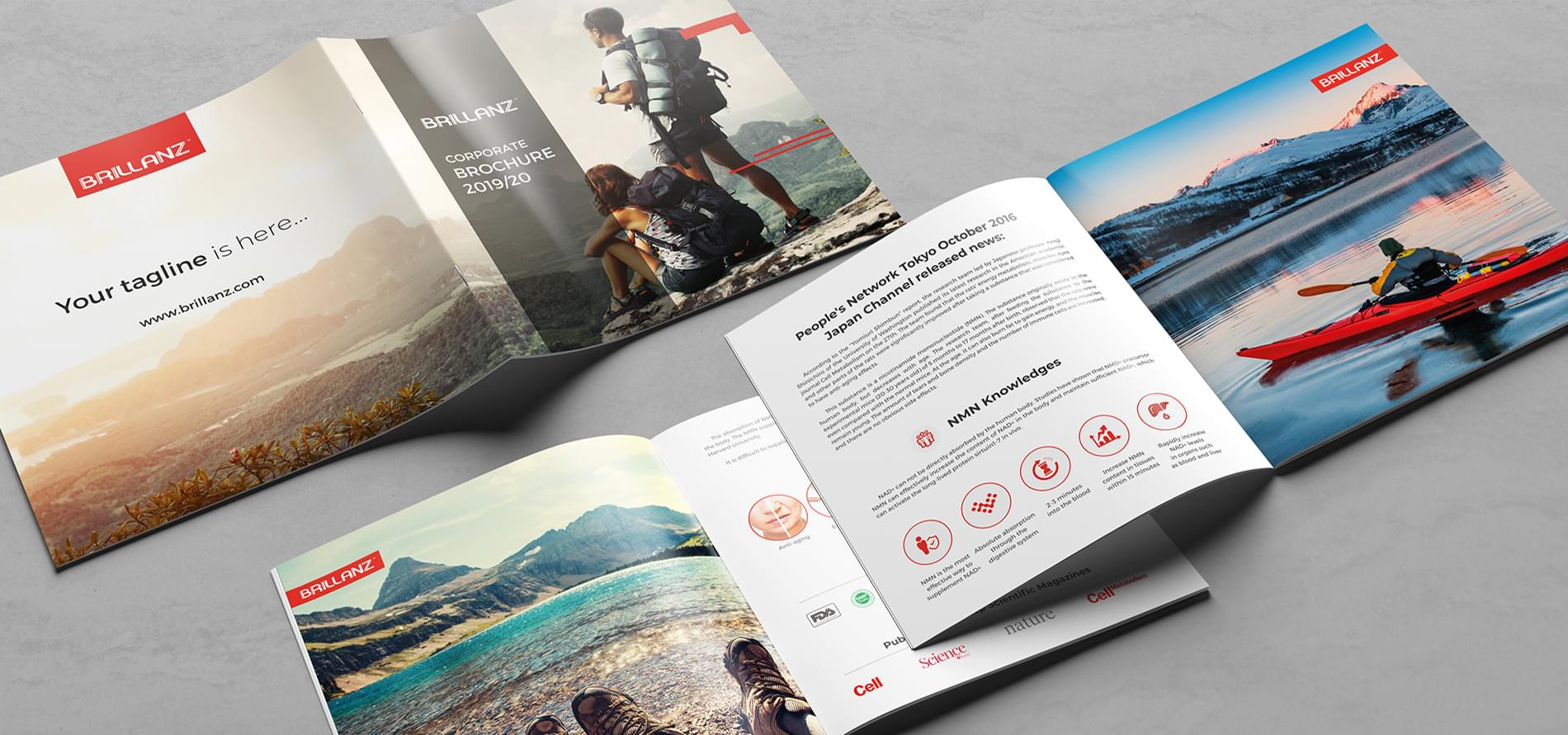 Find Out About No.1 Booklet Design in 2021 | Branding Agency Print Graphics